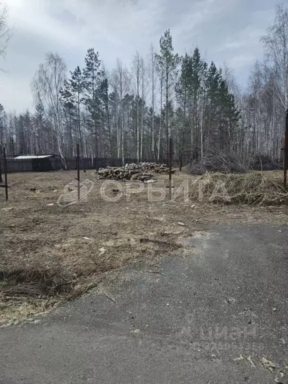 Участок в Тюменская область, Тюменский муниципальный округ, д. Речкина ... - Фото 1