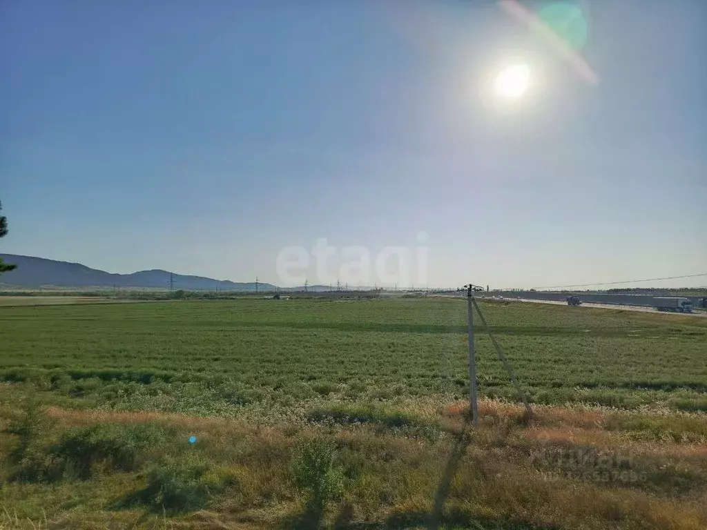 Участок в Крым, Кировский район, с. Абрикосовка ул. Восточная (253.9 ... - Фото 1