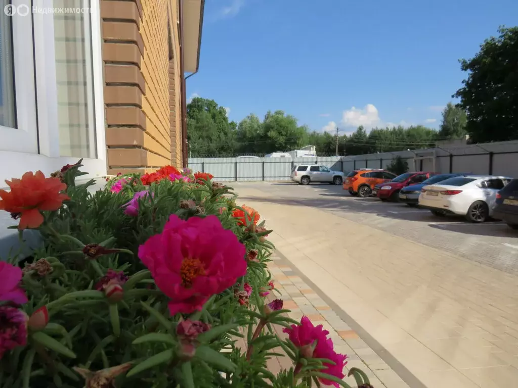 Офис (18 м) - Фото 2