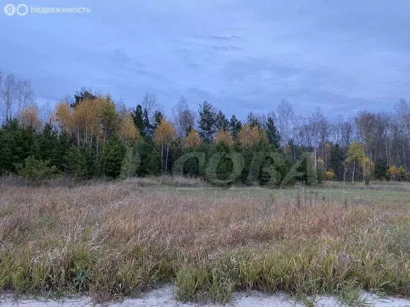 Участок в Тюменский район, село Каменка (15 м) - Фото 1