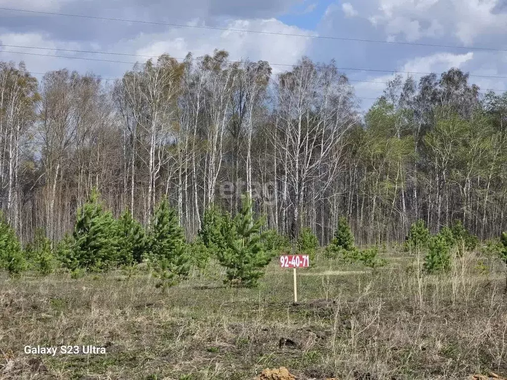 Участок в Тюменская область, Тюменский муниципальный округ, Априори кп ... - Фото 1