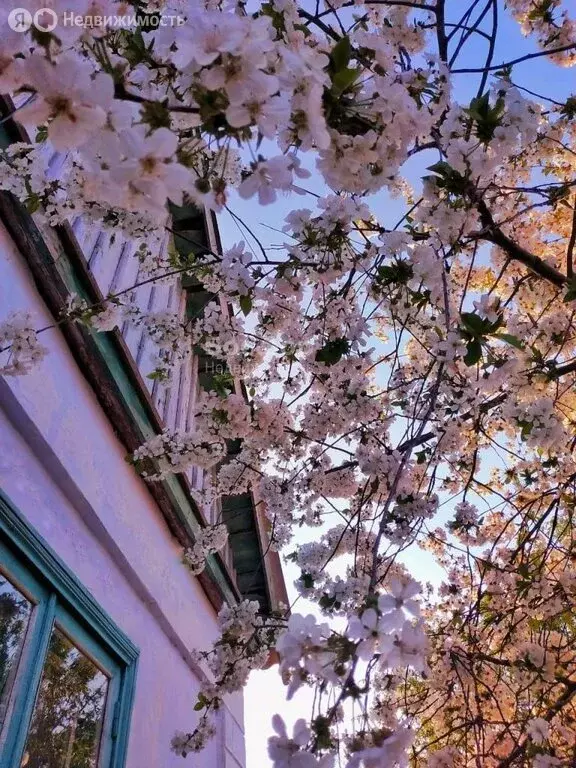 Дом в Советский, улица Некрасова, 25 (69.8 м) - Фото 2