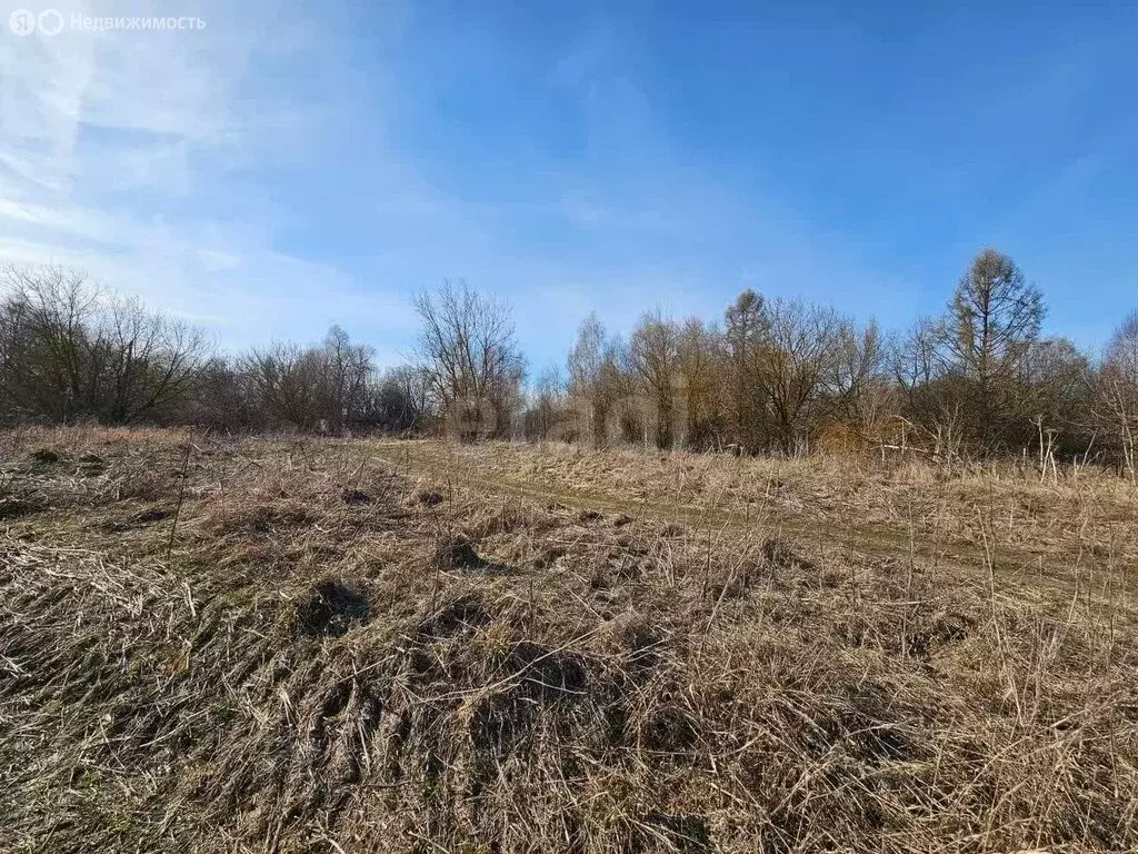 Участок в Владимирская область, округ Муром, село Борисоглеб (54 м) - Фото 2