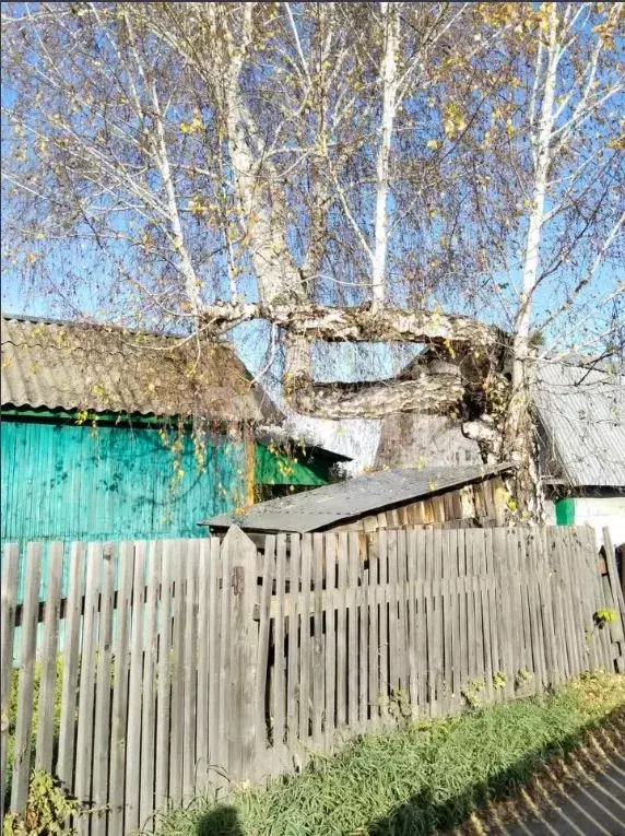 Дом в Кемеровская область, Кемерово Карболитчик дп,  (15 м) - Фото 2