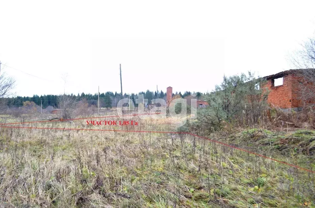 Участок в Вологодская область, Грязовецкий муниципальный округ, пос. ... - Фото 2