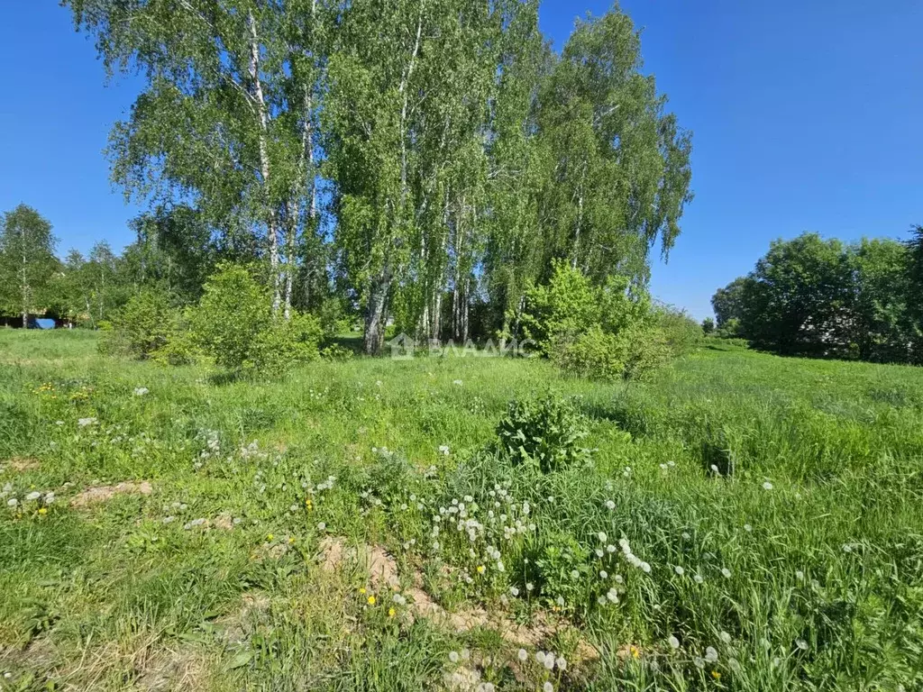 Участок в Московская область, Воскресенск городской округ, д. ... - Фото 2