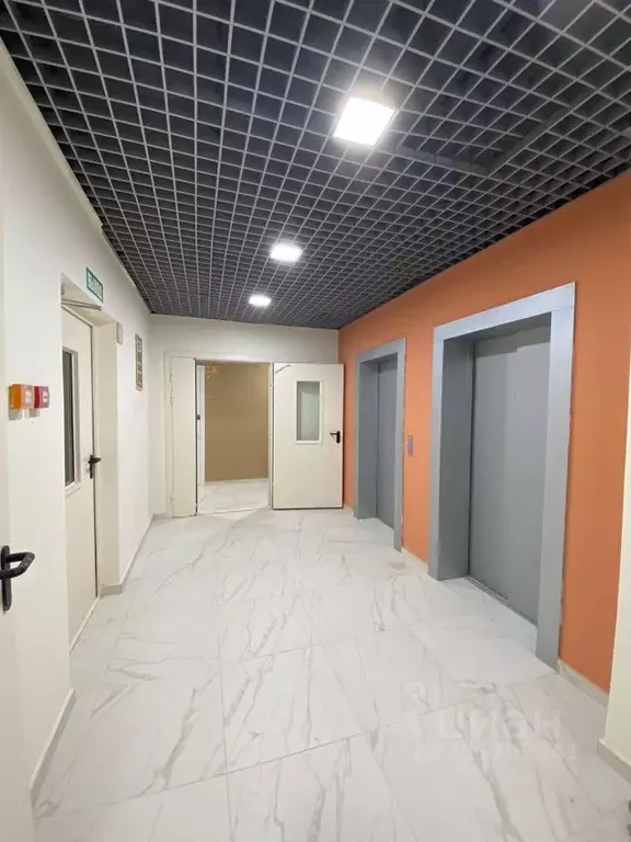 Студия Москва просп. Прокшинский, 12 (24.0 м) - Фото 2