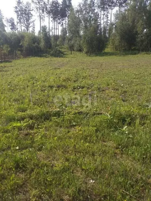 Участок в Барышевский сельсовет, садоводческое некоммерческое ... - Фото 1