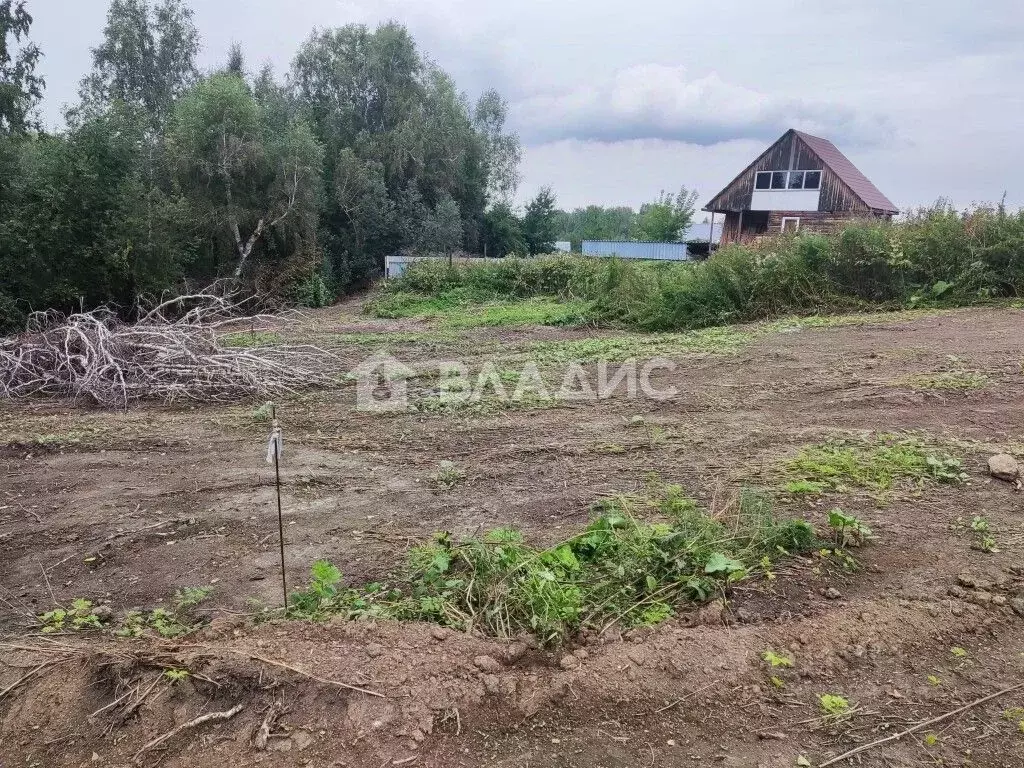 Участок в Новосибирская область, Новосибирский район, с. Раздольное ... - Фото 0