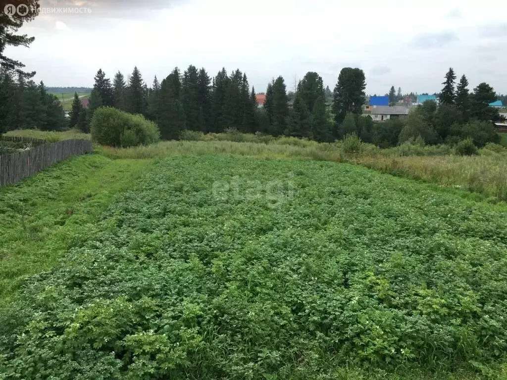 Участок в Томский район, деревня Лязгино, Центральная улица (15 м) - Фото 1