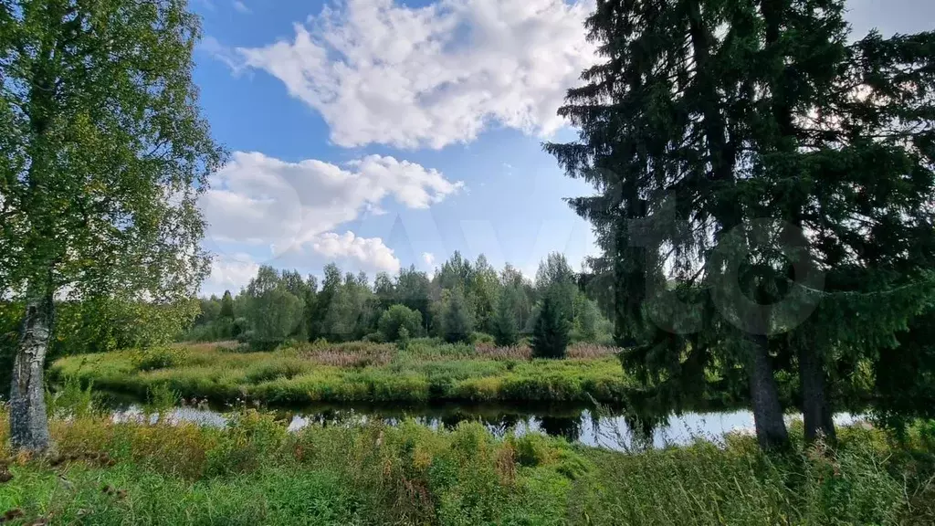 Участок 1 сот. (СНТ, ДНП) - Фото 0