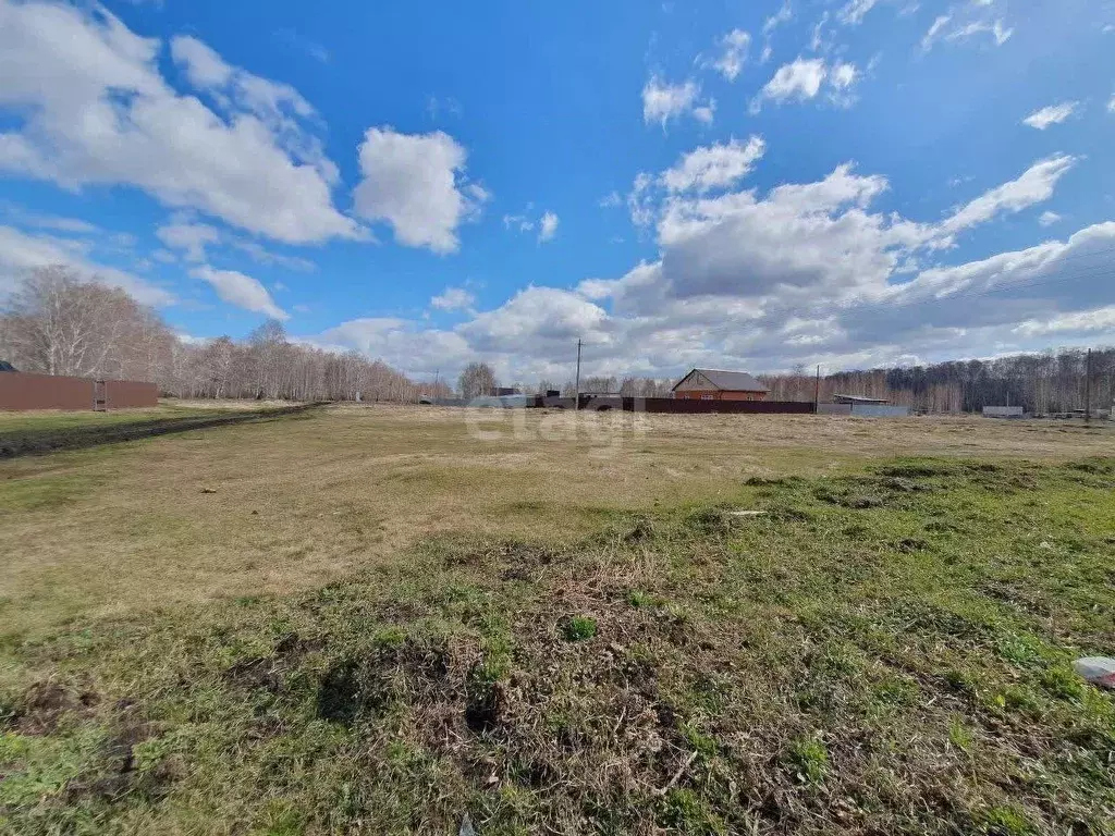 Участок в Челябинская область, Красноармейский муниципальный округ, с. ... - Фото 1