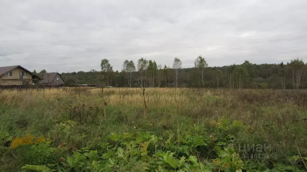 Участок в Московская область, Рузский муниципальный округ, д. Гомнино  ... - Фото 1