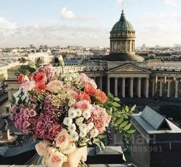 1-к кв. Санкт-Петербург наб. Реки Фонтанки, 73 (18.0 м) - Фото 0