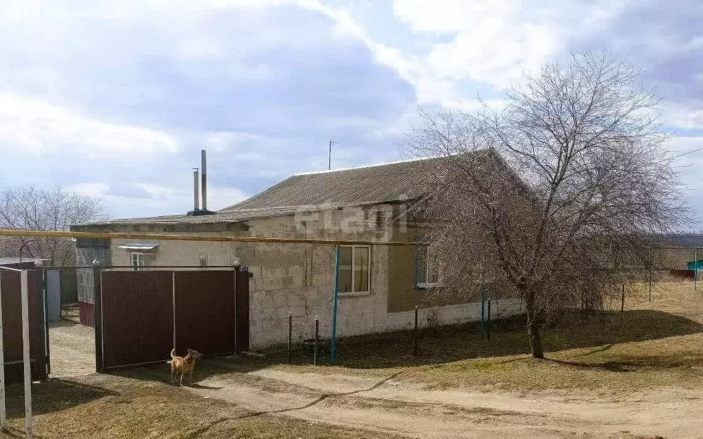 Дом в Новооскольский городской округ, село Шараповка (113.9 м) - Фото 1
