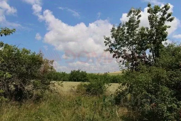 Участок в Ростовская область, Новочеркасск пер. Хуторский (6.2 сот.) - Фото 1