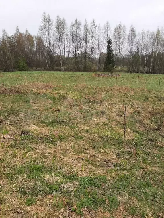 Участок 15 сот. (ИЖС) - Фото 1