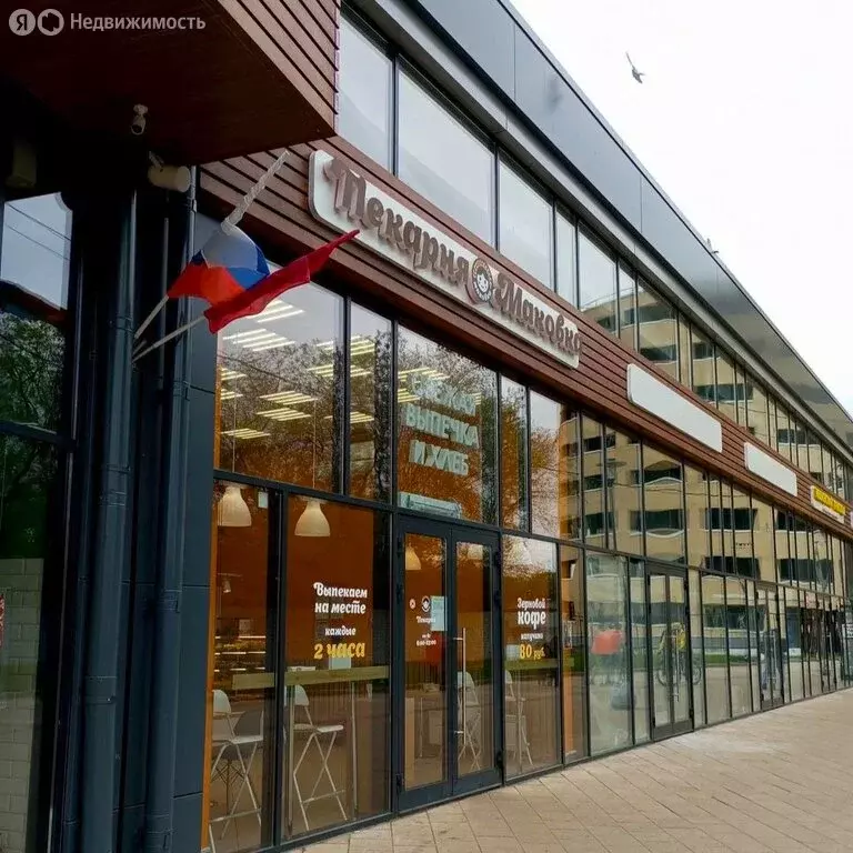 Помещение свободного назначения (31 м) - Фото 2