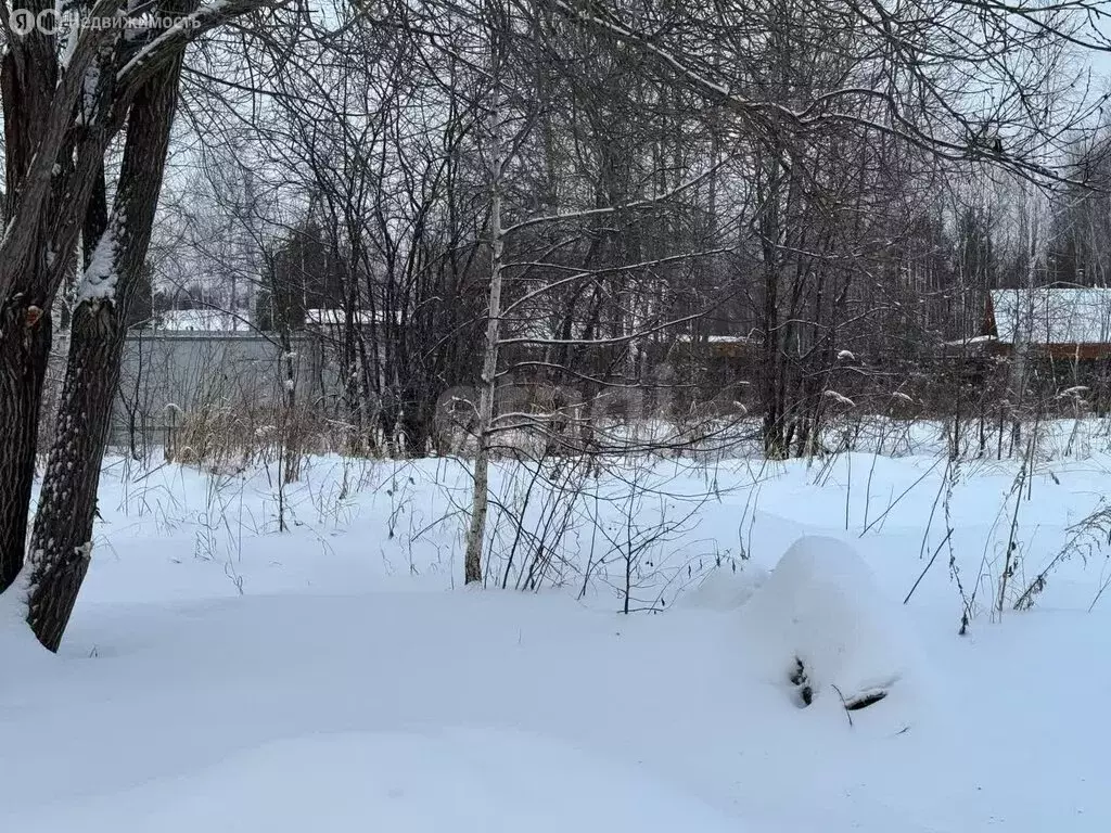 Участок в Нижнетавдинский район, садоводческий потребительский ... - Фото 0