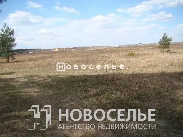 Участок в Рязанская область, Рязанский район, Дубровическое с/пос, с. ... - Фото 0