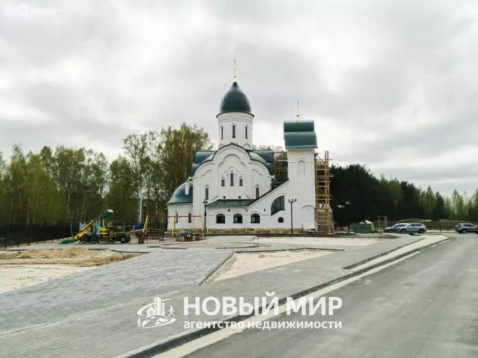 Участок в Нижегородская область, муниципальный округ Бор, деревня ... - Фото 1