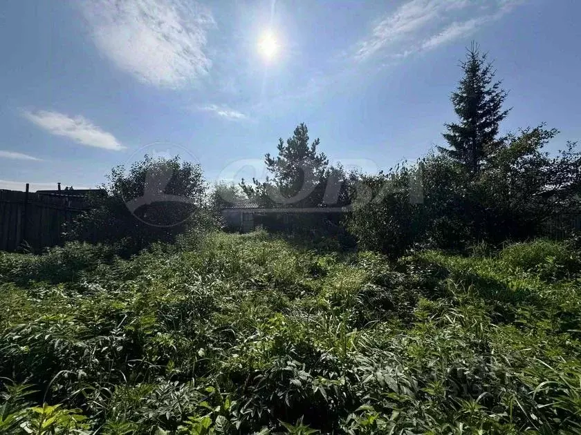 Участок в Тюменская область, Тюмень Изобилие СНТ, ул. Лесная (5.0 ... - Фото 2