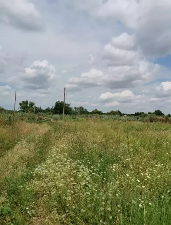 Участок в Ростовская область, Кагальницкий район, Иваново-Шамшевское ... - Фото 1