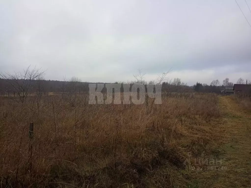 Участок в Вологодская область, Сокольский муниципальный округ, д. ... - Фото 2