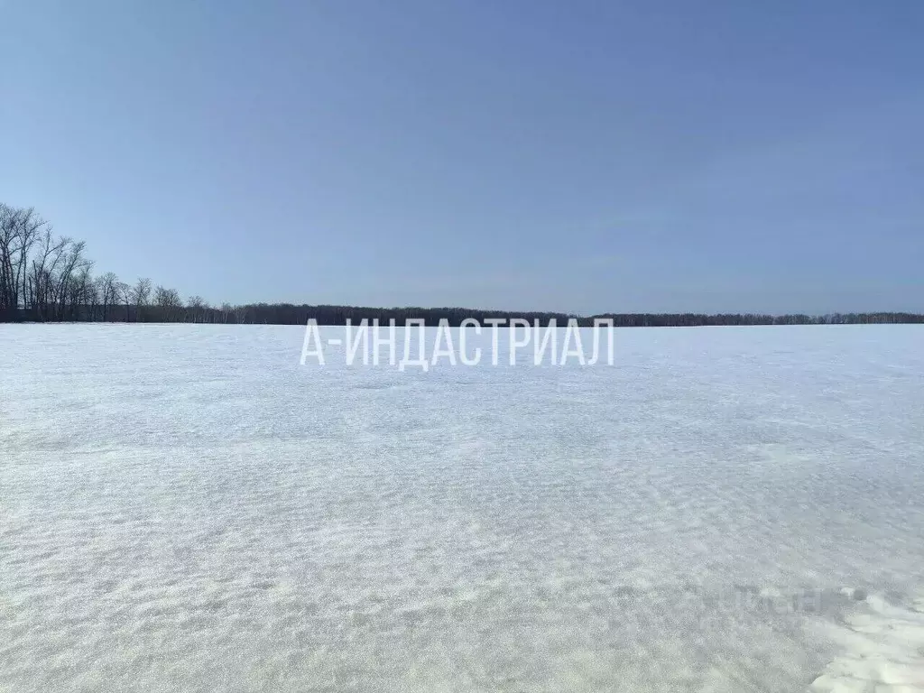 Участок в Московская область, Домодедово Белые Столбы мкр,  (35.0 ... - Фото 2