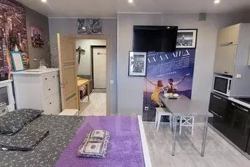 1-к кв. Новосибирская область, Новосибирск ул. Крылова, 63 (30.0 м) - Фото 0