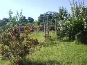 Участок в Амурская область, Благовещенск Трудовая ул., 121 (890.0 ... - Фото 0