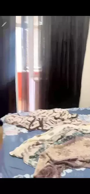 1-к кв. Дагестан, Махачкала ул. Максима Горького, 85Б (42.0 м) - Фото 2