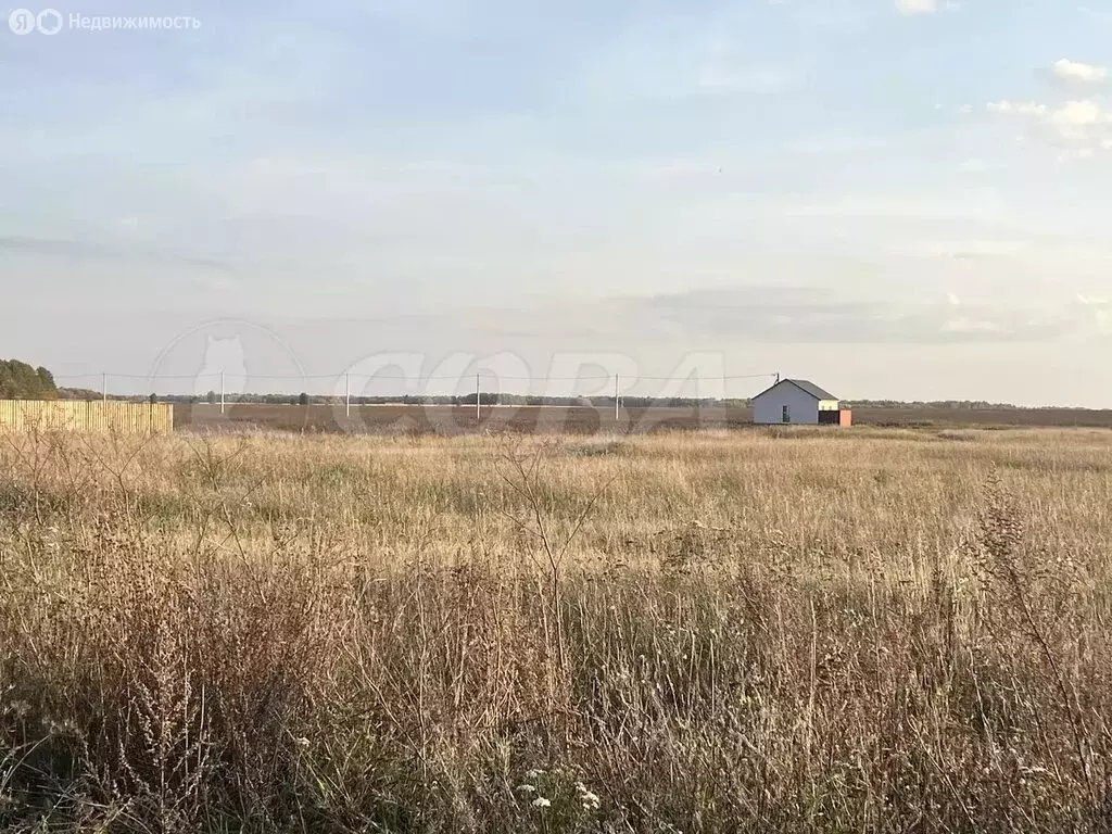 Участок в Тюменский муниципальный округ, Горьковское муниципальное ... - Фото 1