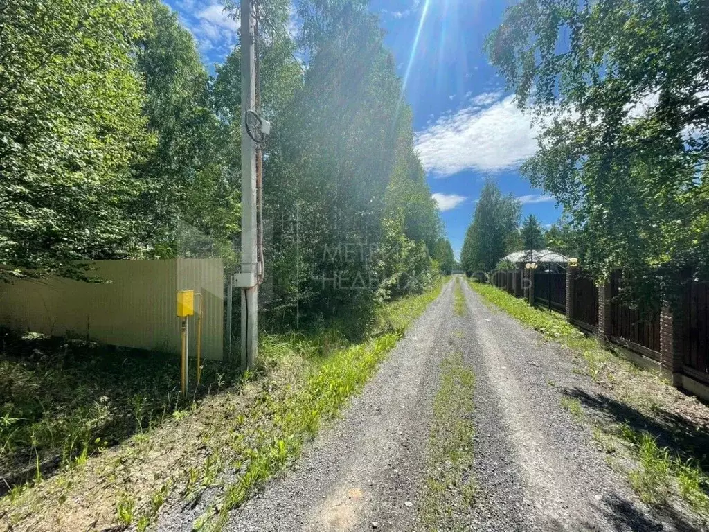 Участок в Тюменская область, Нижнетавдинский район, Царицыно СНТ  ... - Фото 0