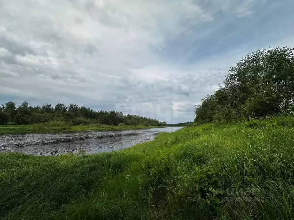 Дом в Тверская область, Максатихинский муниципальный округ, д. ... - Фото 1