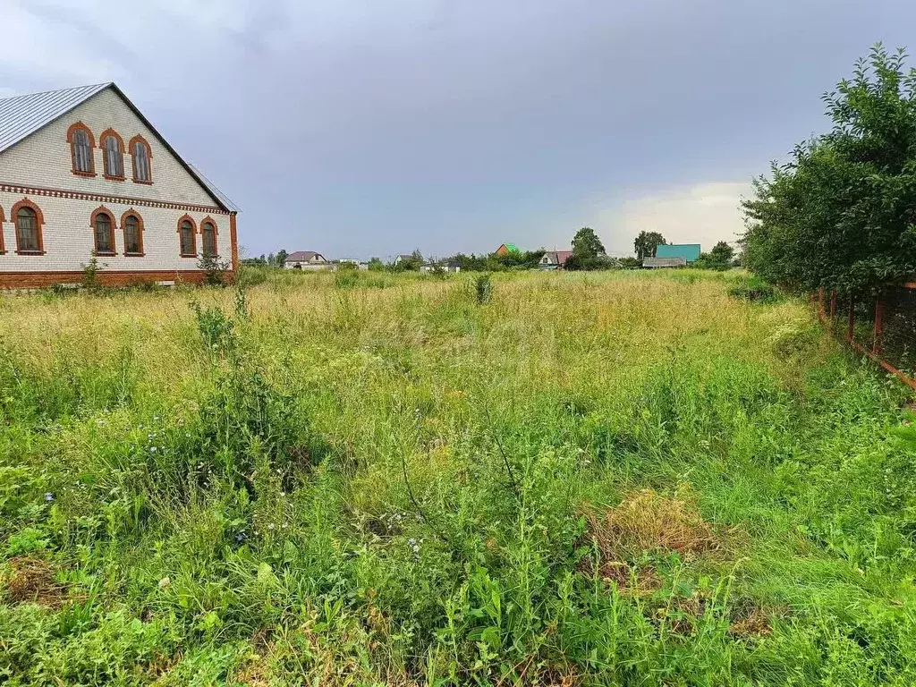 Участок в Тамбовская область, Тамбовский муниципальный округ, с. ... - Фото 1