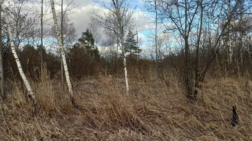 Участок в посёлок Новый Свет, 52-й массив (10 м) - Фото 0