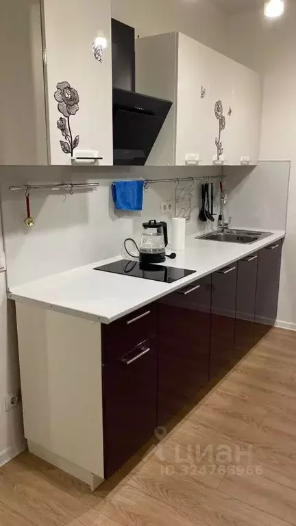 Студия Московская область, Мытищи ул. Мира, 49 (27.0 м) - Фото 1