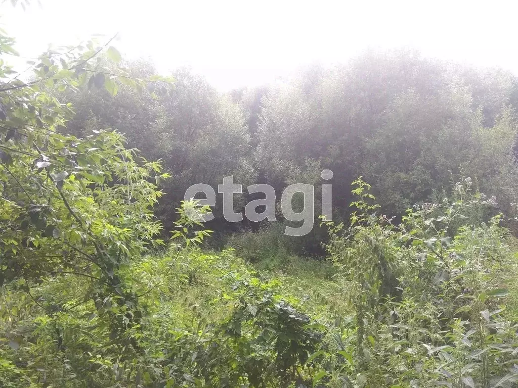 Участок в Брянская область, Брянский район, Супоневское с/пос, с. ... - Фото 1