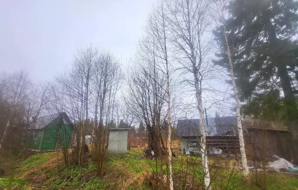 Дом в Коми, Сыктывдинский район, Выльгорт муниципальное образование, ... - Фото 1