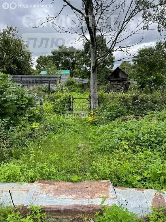 Участок в Хабаровский район, рабочий посёлок Корфовский (4.82 м) - Фото 1