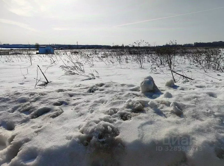 Участок в Московская область, Раменский муниципальный округ, д. Прудки ... - Фото 1
