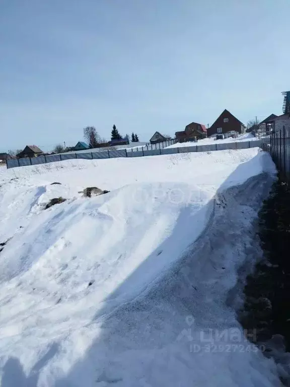 Участок в Новосибирская область, Новосибирский район, с. Криводановка ... - Фото 1