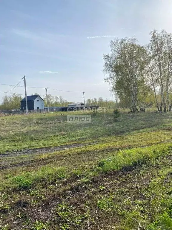 Участок в Челябинская область, Красноармейский район, пос. Песчаный ... - Фото 0