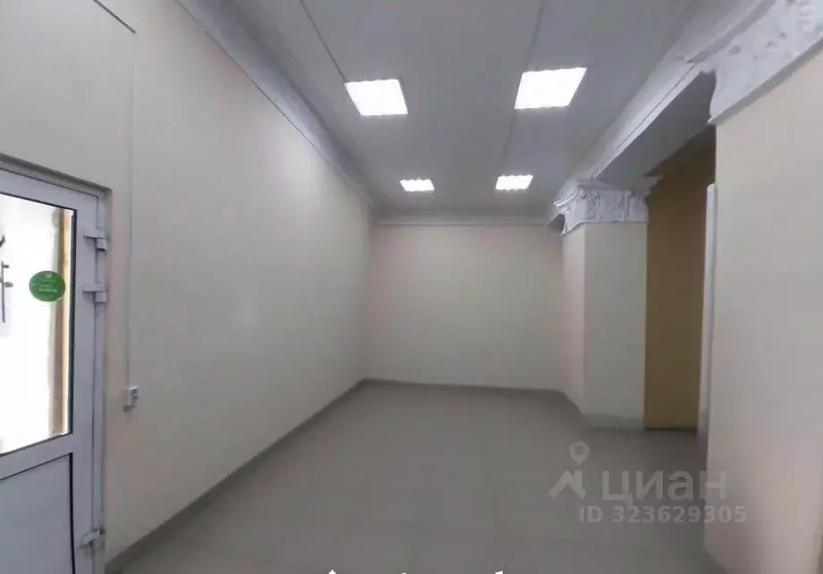 Торговая площадь в Пермский край, Александровск Яйва пгт, ул. ... - Фото 2