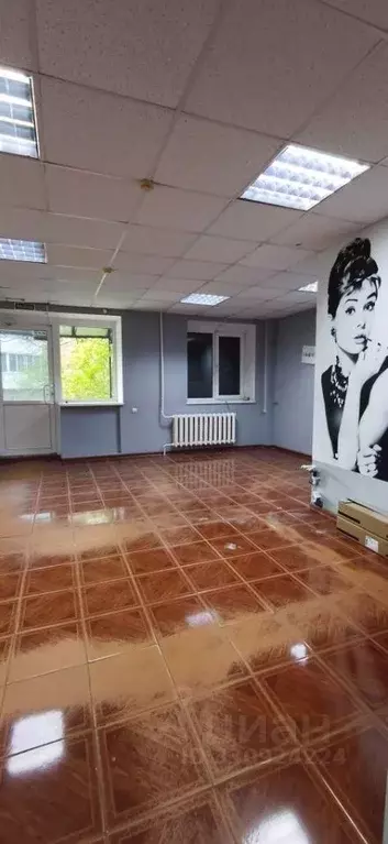 Помещение свободного назначения в Смоленская область, Смоленск ул. ... - Фото 1