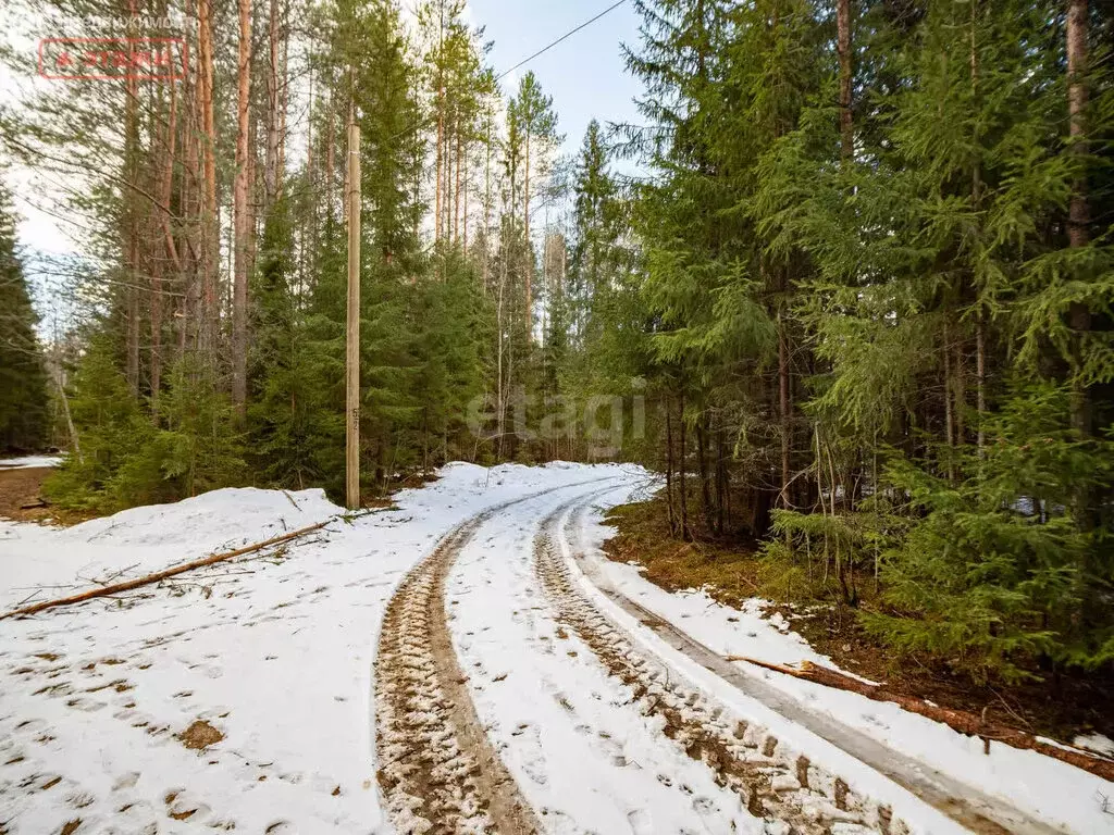 Участок в Пряжинский район, посёлок Матросы (15 м) - Фото 1