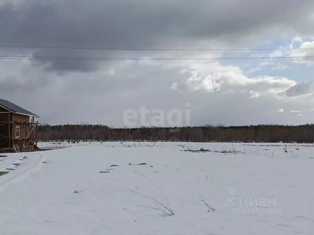 Участок в Архангельская область, Холмогорский муниципальный округ, д. ... - Фото 1