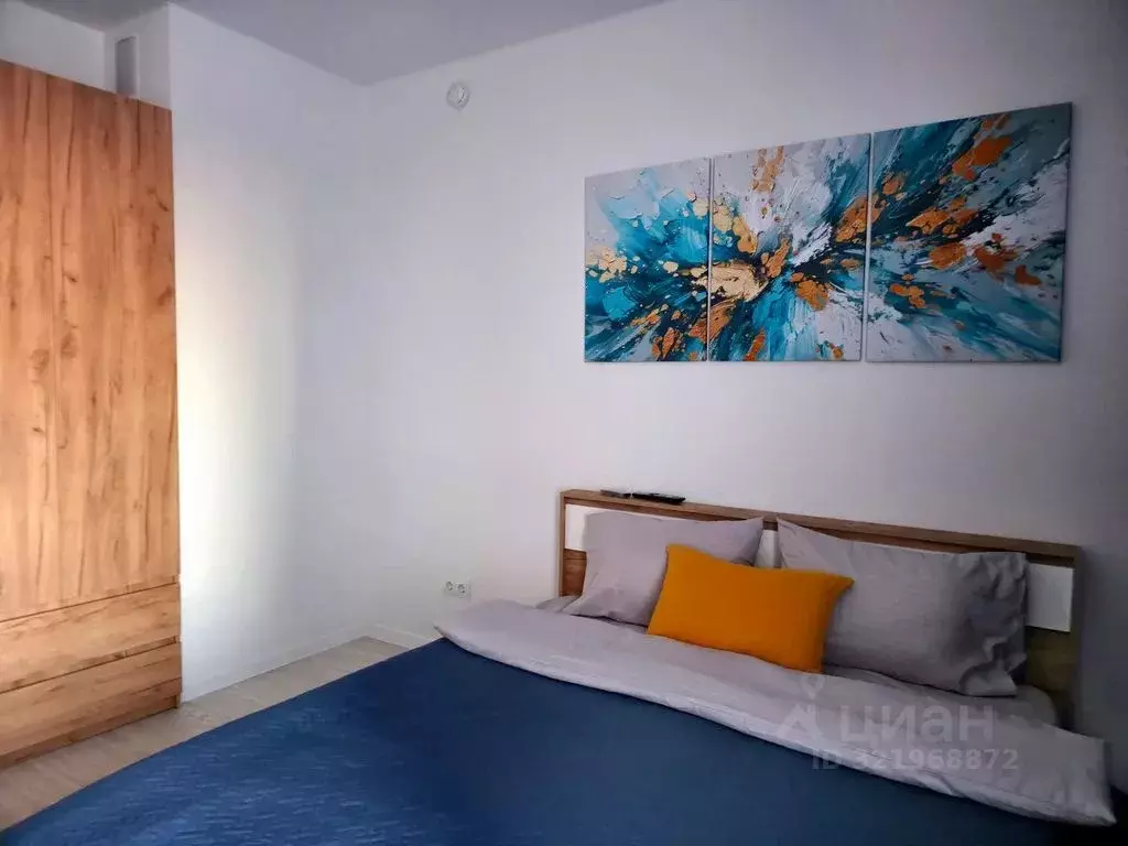 Студия Санкт-Петербург пос. Шушары, просп. Старорусский, 5к2 (22.0 м) - Фото 2