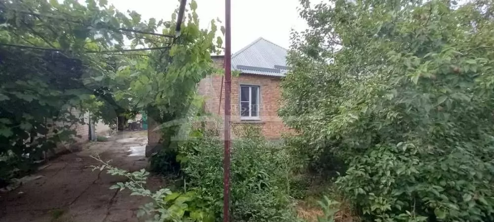 Дом 60 м на участке 10 сот. - Фото 0